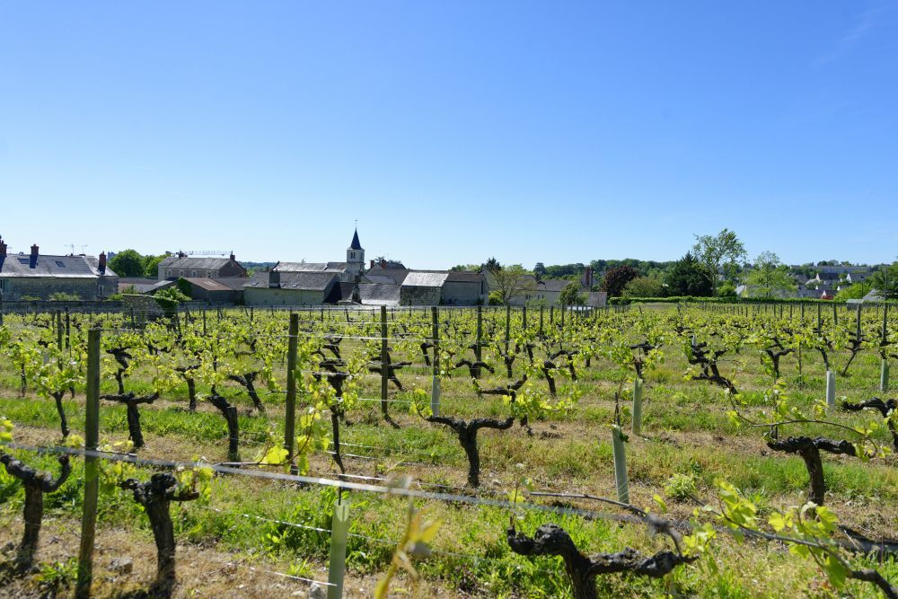 Le clos au printemps